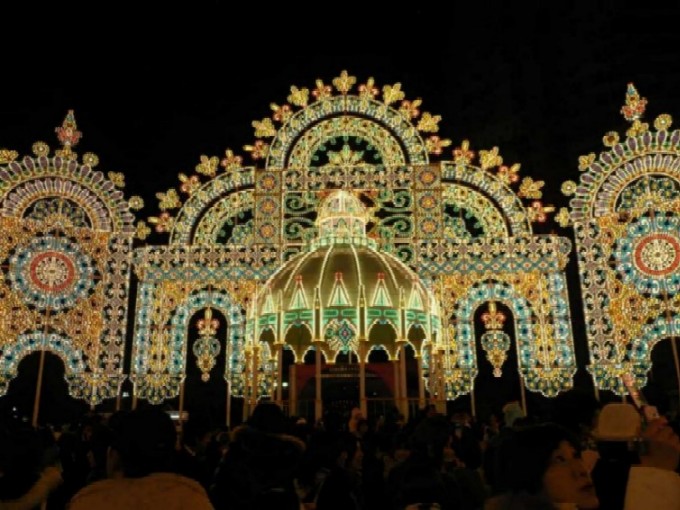 最初の年が一番美しかった・・・
毎年短くなっていくのが悲しいです。
