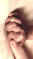 1254541353_22xfxf.jpg
