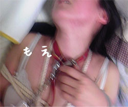 1327166664_zy4mhh.jpg