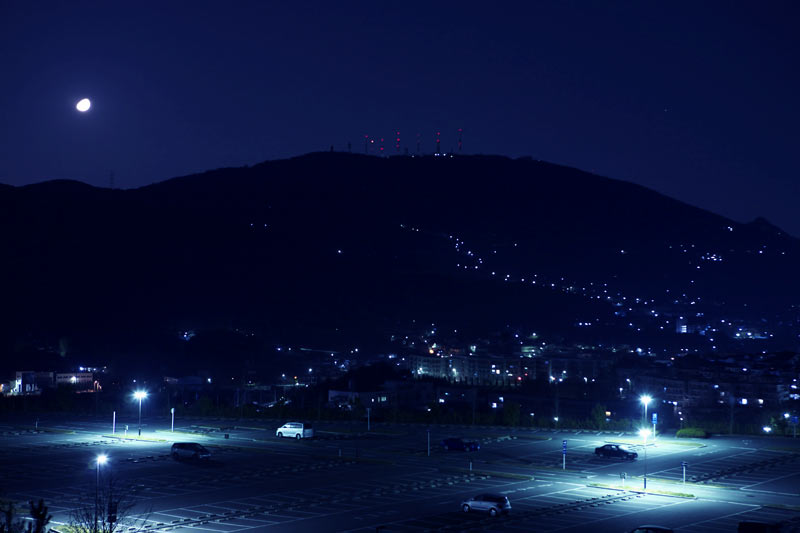 Nordのプロフィール画像